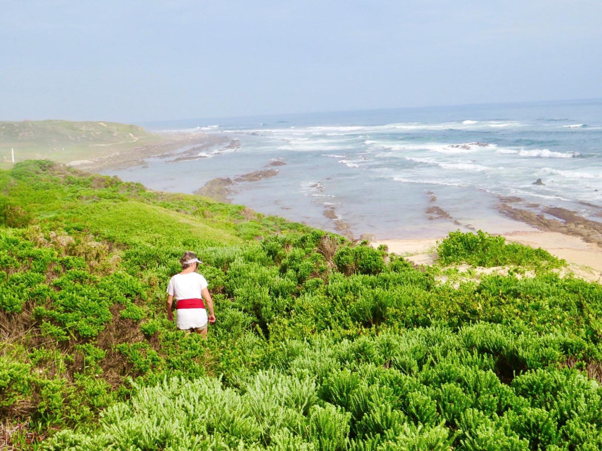 Whistlewood Guesthouse Walmer, Port Eizabeth Port Elizabeth Exteriör bild