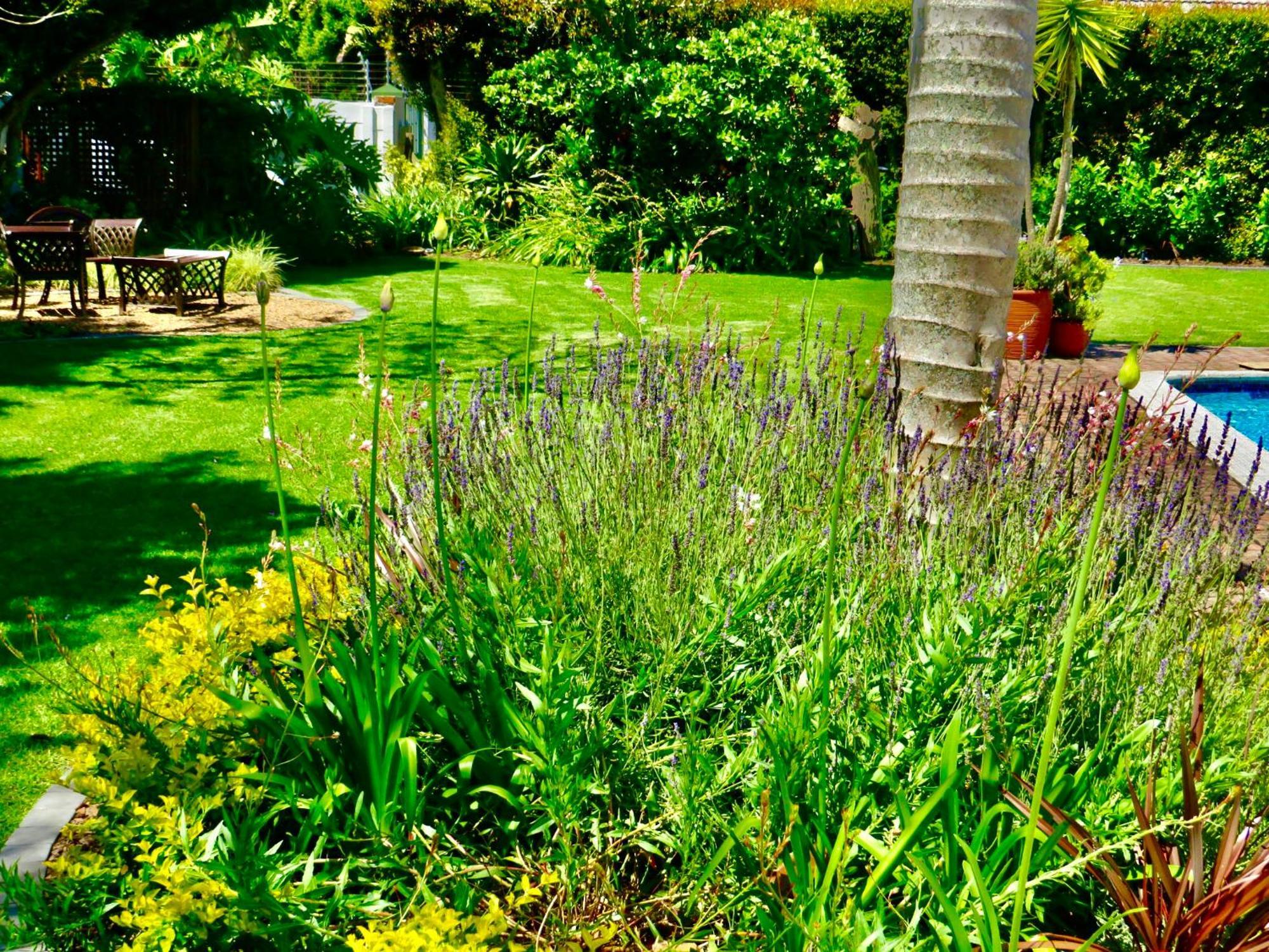 Whistlewood Guesthouse Walmer, Port Eizabeth Port Elizabeth Exteriör bild