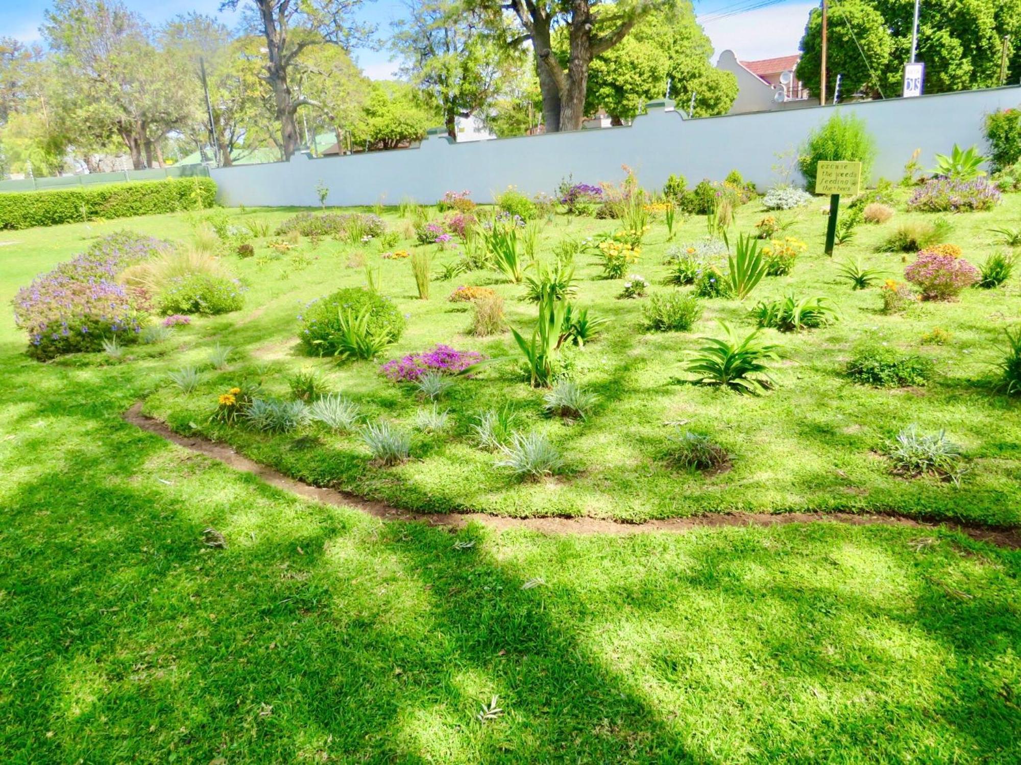 Whistlewood Guesthouse Walmer, Port Eizabeth Port Elizabeth Exteriör bild