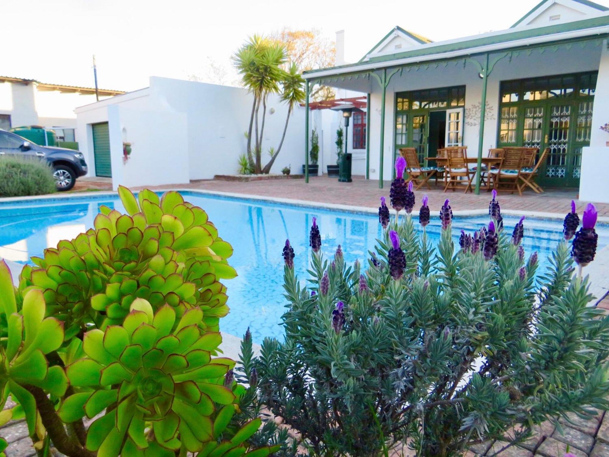 Whistlewood Guesthouse Walmer, Port Eizabeth Port Elizabeth Exteriör bild
