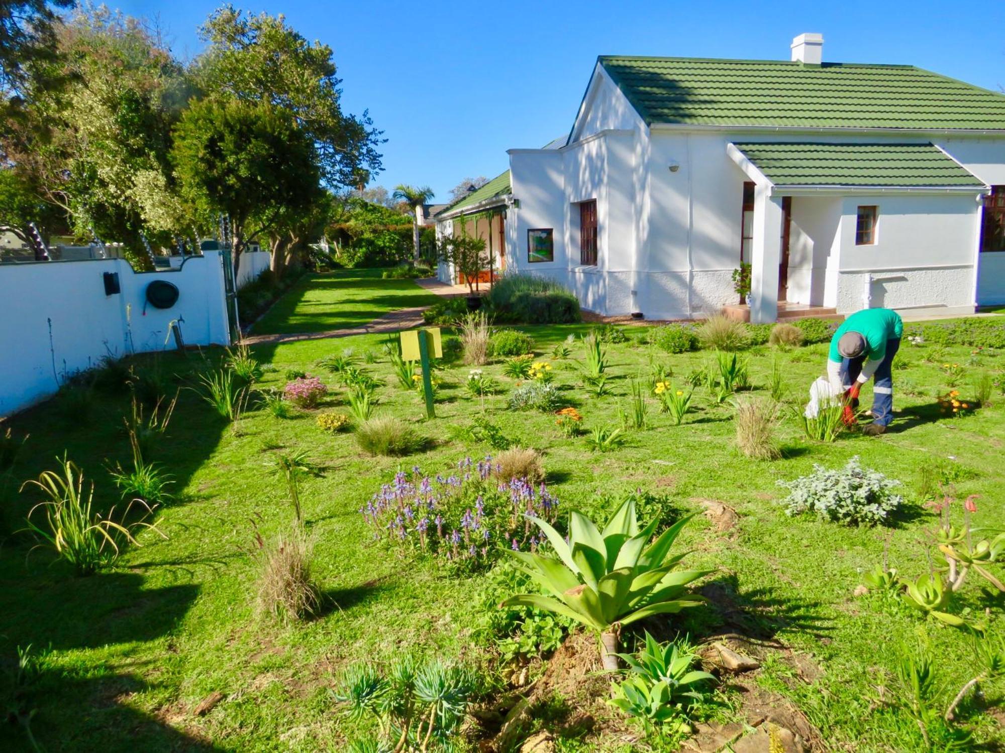 Whistlewood Guesthouse Walmer, Port Eizabeth Port Elizabeth Exteriör bild