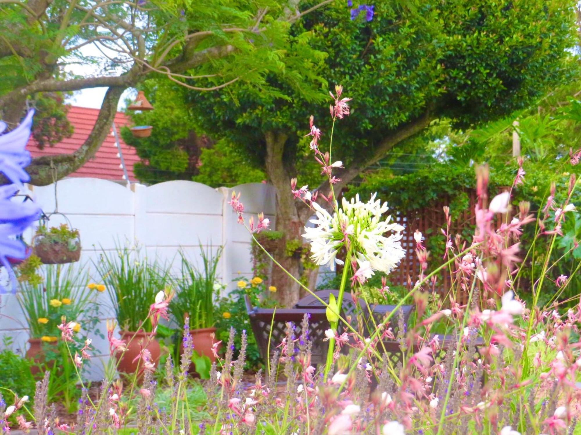 Whistlewood Guesthouse Walmer, Port Eizabeth Port Elizabeth Exteriör bild