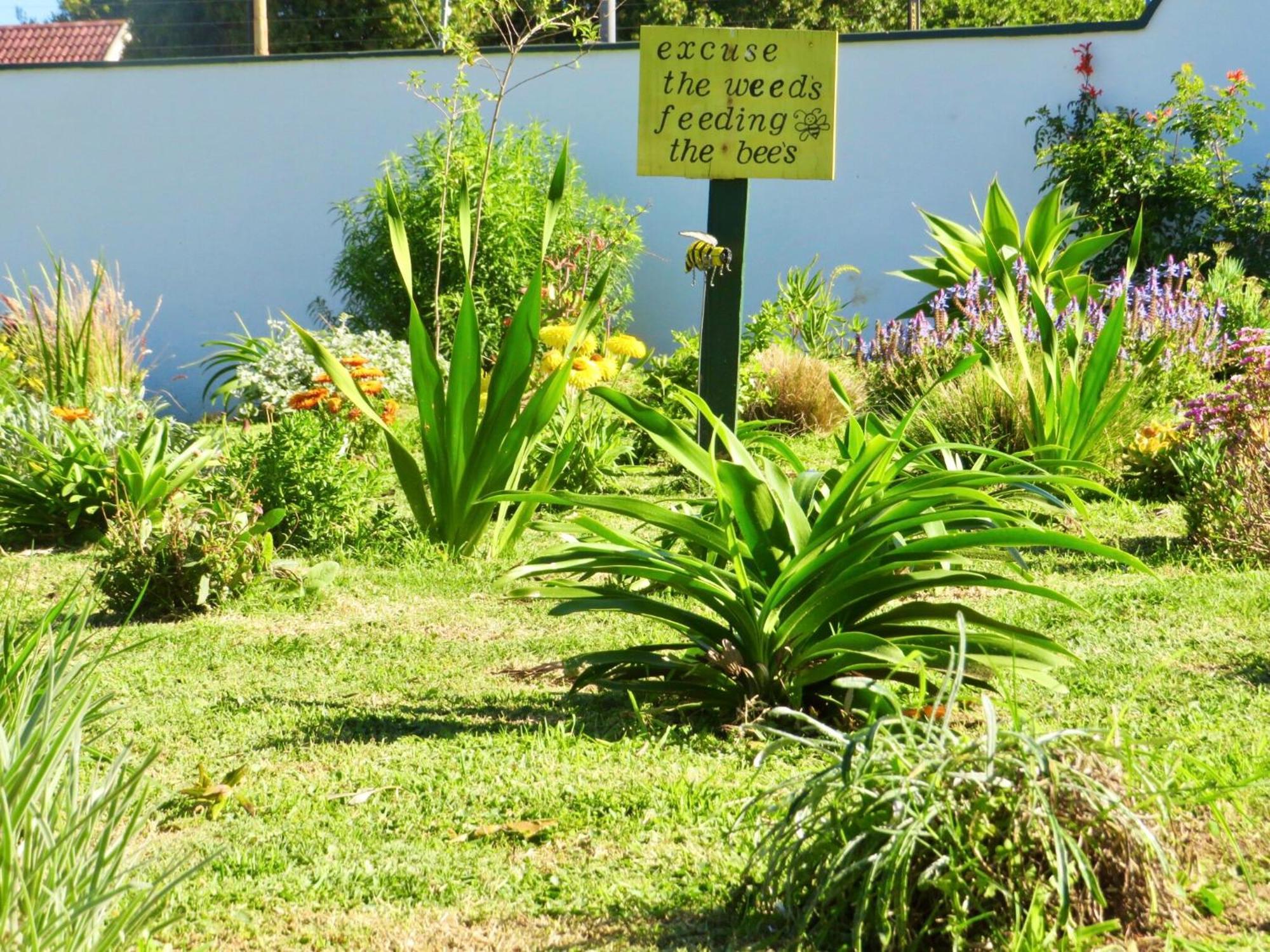 Whistlewood Guesthouse Walmer, Port Eizabeth Port Elizabeth Exteriör bild